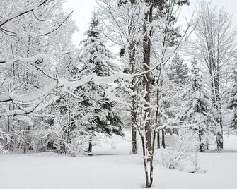 White Mountain Retreat - Family/Pet Friendly- Year Round : Ski areas Close by! - Bethlehem - Вигляд зовні
