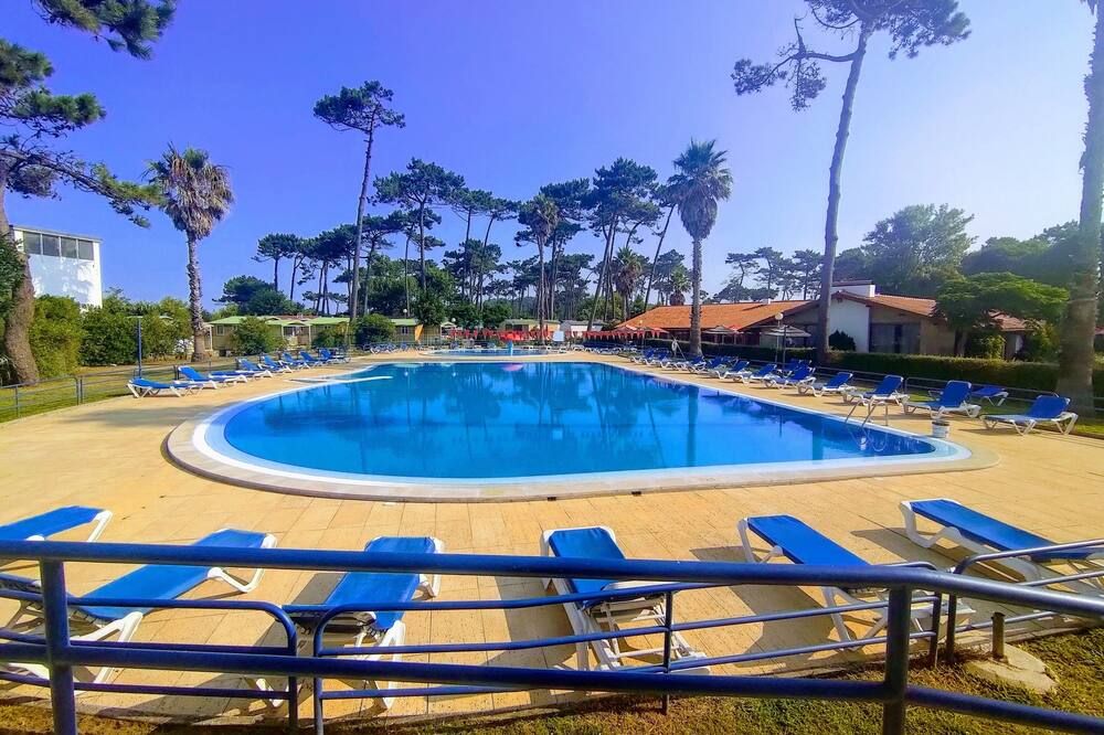 باركي دي كامبيسمو أوربيتور أنغييراس