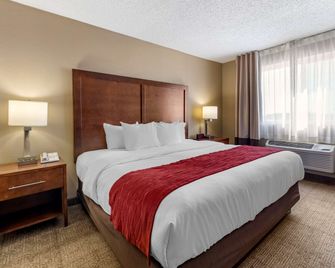 Comfort Inn and Suites Hays I-70 - Hays - Soveværelse