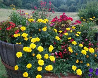 Domaine de Paguy - Betbezer-d'Armagnac - Vista del exterior