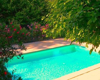 In a privileged setting, detached house, private swimming pool, pets allowed - Sisteron - Pool