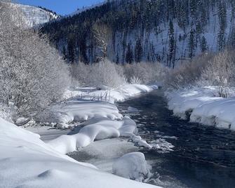 Pet Friendly quiet Cabin with privacy and backcountry access. - Ketchum