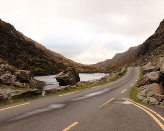 Rowantree - Killarney