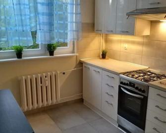 Apartament Wiosenny 52m2 Klodzko - Kłodzko - Kuchnia