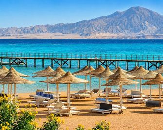 Regency Plaza Aqua Park and Spa Resort - Sharm el-Sheikh - Beach
