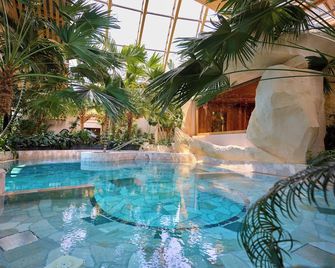 Center Parcs Les Trois Forêts - Hattigny - Piscina