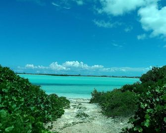 Rolle Town Retreat, Swim with The Pigs and and Nurse Sharks - Rolletown - Strand