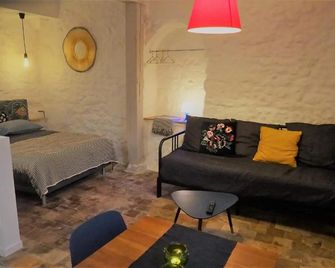 Appartement spacieux avec une vue sur Tours ( 38m²) -Gite de Bellevue - Tours - Living room