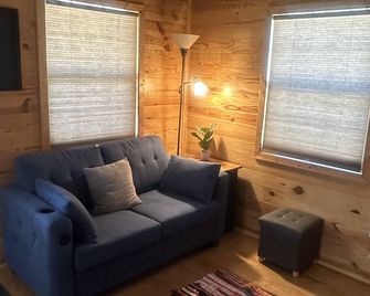 Small Rustic Cabin Near Greers Ferry Lake w/1 Bedroom 1 Bath &Full Size Sofa bed - Heber Springs - Living room