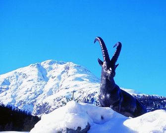 Hotel Steinbock - Pontresina