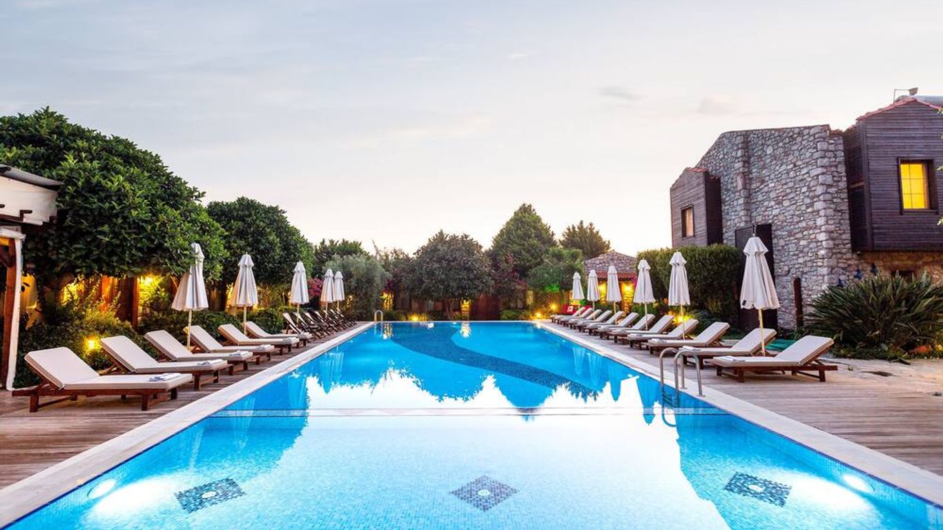 لونا بيجونفيل تاس إفلر