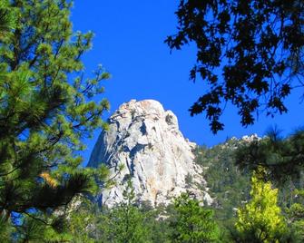 Always Inn Idyllwild Vacation Cottages - Idyllwild - Building