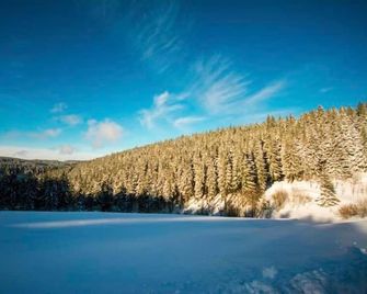 Hotel Adlerschanze - Schönwald im Schwarzwald - Outdoor view