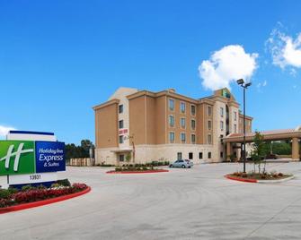 Holiday Inn Express & Suites Houston South Near Pearland - Pearland - Building
