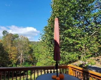 Second Creek Cabin - Rustic Mostly 20 Wooded Acres - Ronceverte - Balcony