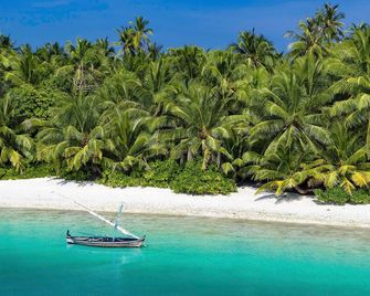 Mi Lugar Retreat And Spa - Hanimaadhoo - Playa