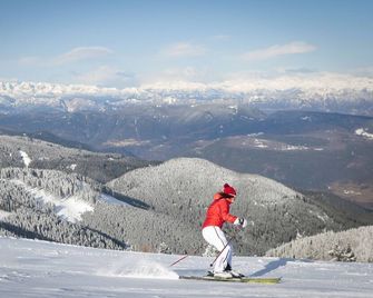 Olimpionico Hotel - Castello di fiemme