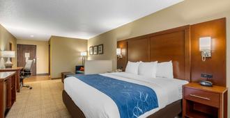 Comfort Suites Cedar Falls - Cedar Falls - Schlafzimmer