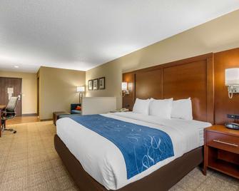 Comfort Suites Cedar Falls - Cedar Falls - Bedroom