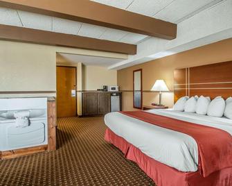 Tesla Medbed Center, East Dubuque - East Dubuque - Habitación