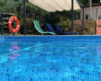 Relax, swim and unwind at this Portuguese house 5 minutes from Sertã, Portugal. - Sertã - Pool