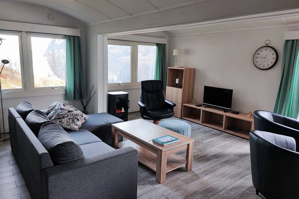 فيزيت أندريدال