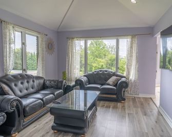 Private Guest House - Please note does NOT sleeps 30 - Reisterstown - Living room