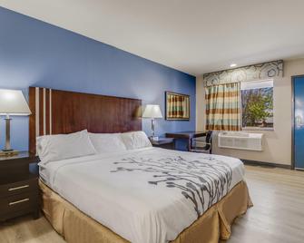 Econo Lodge Inn & Suites - Enid - Habitación