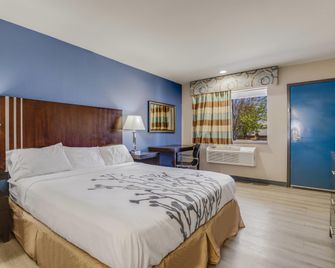 Econo Lodge Inn & Suites Enid South - Enid - Спальня