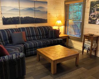 Mountain Cabin - Minutes to Downtown Asheville - Asheville - Living room