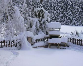 New 3-star gite 15 minutes from Gerardmer. - Granges-Aumontzey - Vista del exterior
