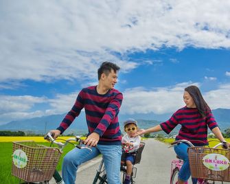Brown B&B - Chishang Township