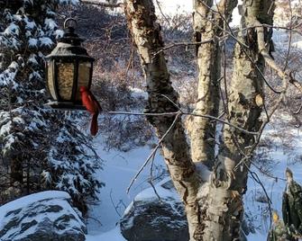 High Point Mtn House ~ Celebrate Thanksgiving on the Mountain! Total privacy! - Olivebridge - Edificio