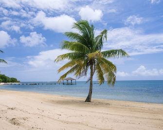 Laru Beya Palmetto Bay - Coxen Hole - Playa