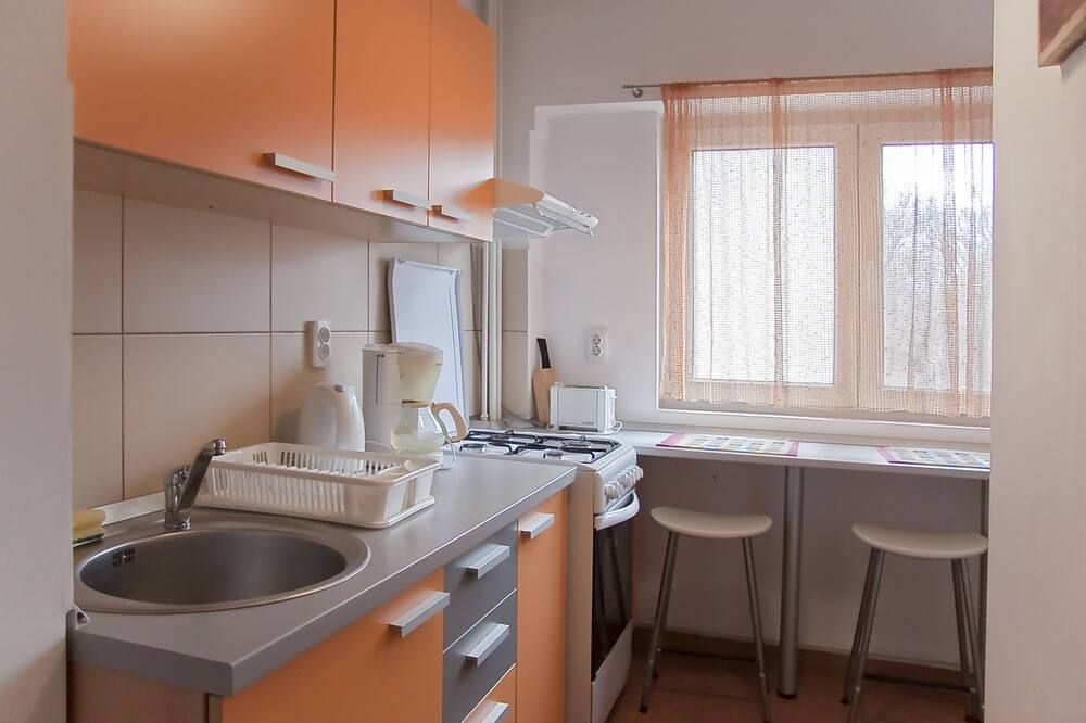 Baneasa Studio - near Herastrau Park - בוקרשט - מטבח