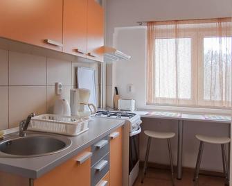 Baneasa Studio - near Herastrau Park - בוקרשט - מטבח