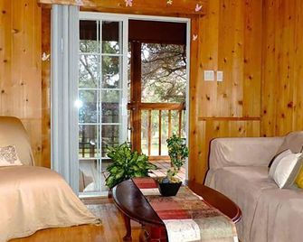Butterflies Cabin @ Homeaway Ranch - Boerne - Living room