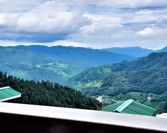 Mountain and peace - Shimla - Parveke