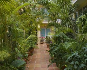 Coral Princess Hotel - San Juan