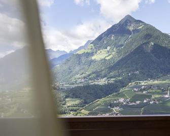 Hotel Erzherzog Johann - Scena - Balcon