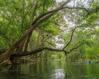 Suwannee River Hideaway - Branford - Piscina