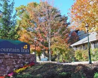 Mountain Inn Lodge 78 with Wintergreen Advantage - Wintergreen - Outdoors view