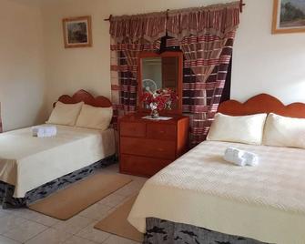 Secluded Villa with scenic views of the Atlantic ocean - Plymouth - Bedroom
