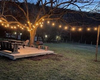 Rr 9084bc Bluebonnet Cabin - New Braunfels - Patio