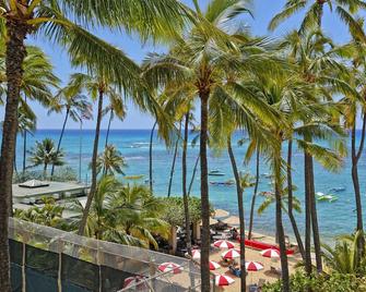 Beachfront Building At The Quiet End Of Waikiki With Swimming/Surfing! - Honolulu - Vista externa