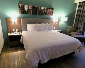 Hampton Inn by Hilton Celaya - Celaya - Bedroom