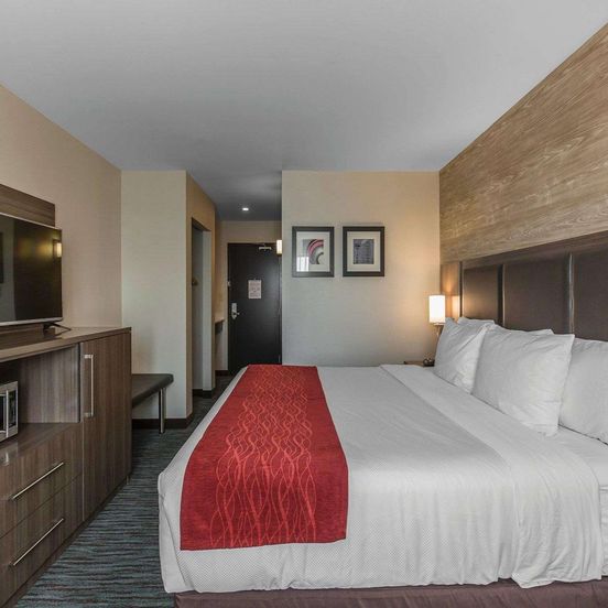Comfort Inn & Suites Airport North image 1
