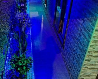 Hotel Starfish - Puerto Villamil