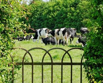 La Ferme Aux Charmes - Sars-Poteries
