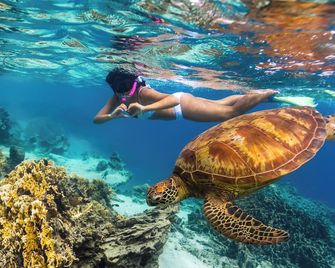 Sanctuary Rarotonga on the Beach (Adults Only) - Rarotonga